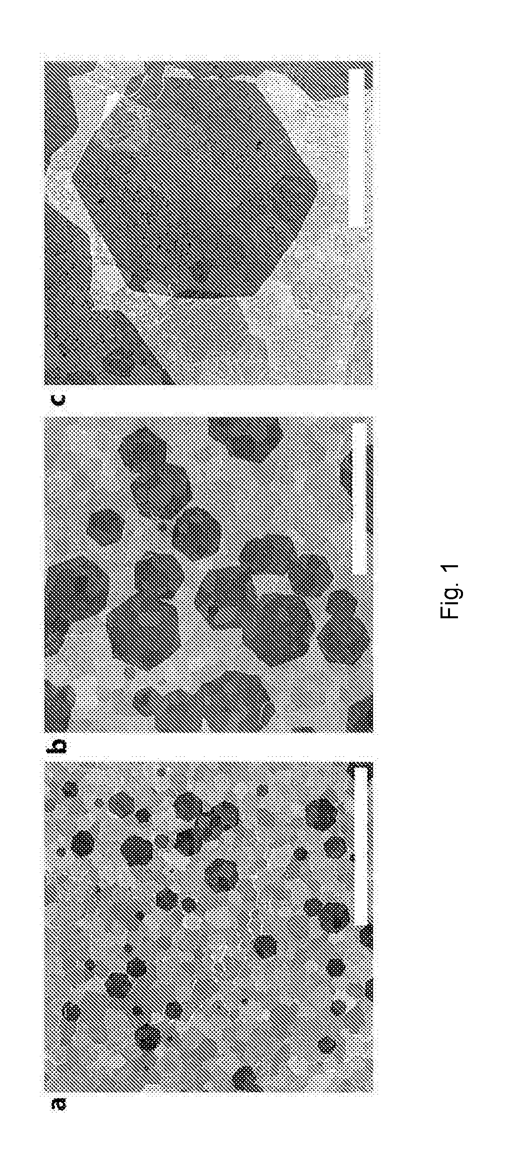 Process for the production of two-dimensional nanomaterials