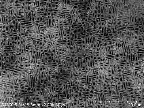 A Fabrication Method of Metal Nanostructure Arrays Based on Interface Induced Growth