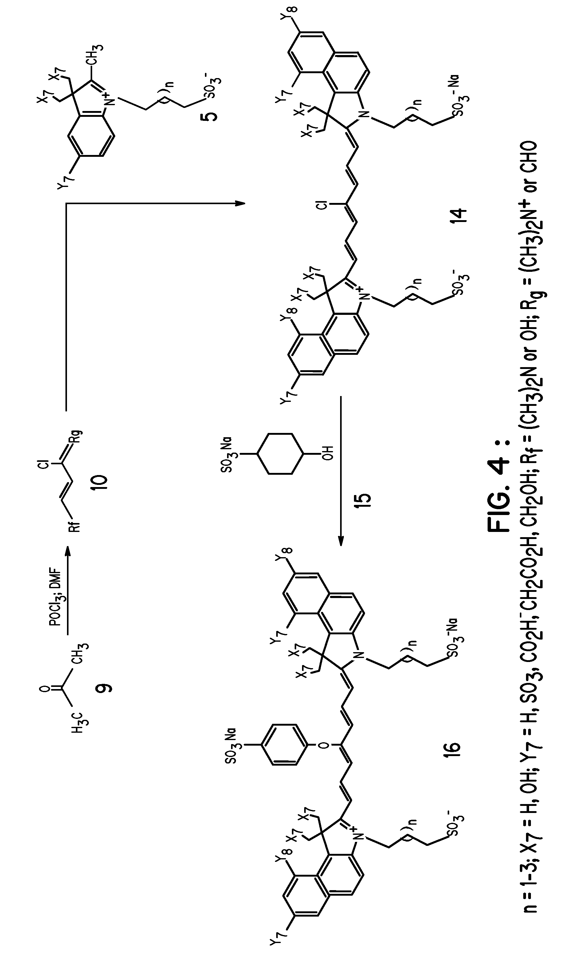 Light Sensitive Compounds for Instant Determination of Organ Function