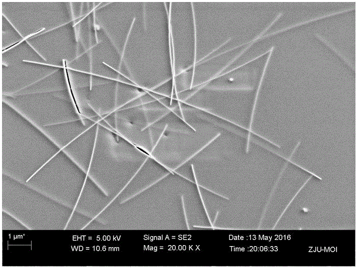 Method for preparing silver nanowire-titanium dioxide composite transparent electrode and transparent electrode