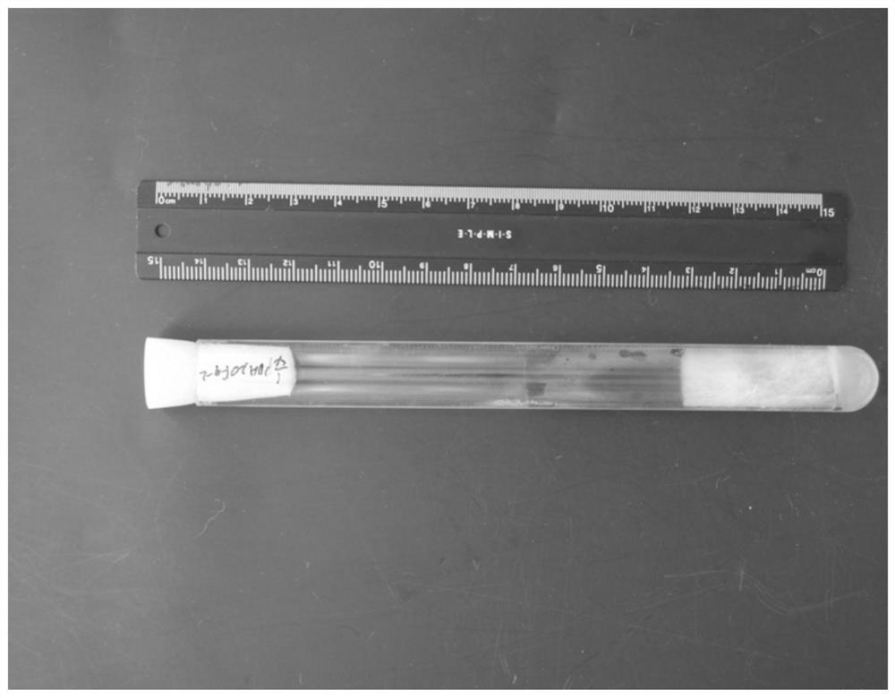 Culture medium for rejuvenating edible fungus strain and method for rejuvenating edible fungus strain