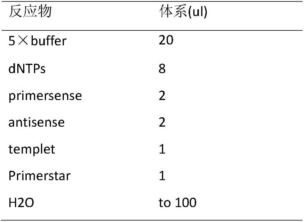 Method for labeling aeromonas schubertii from snakehead through green fluorescent protein genes