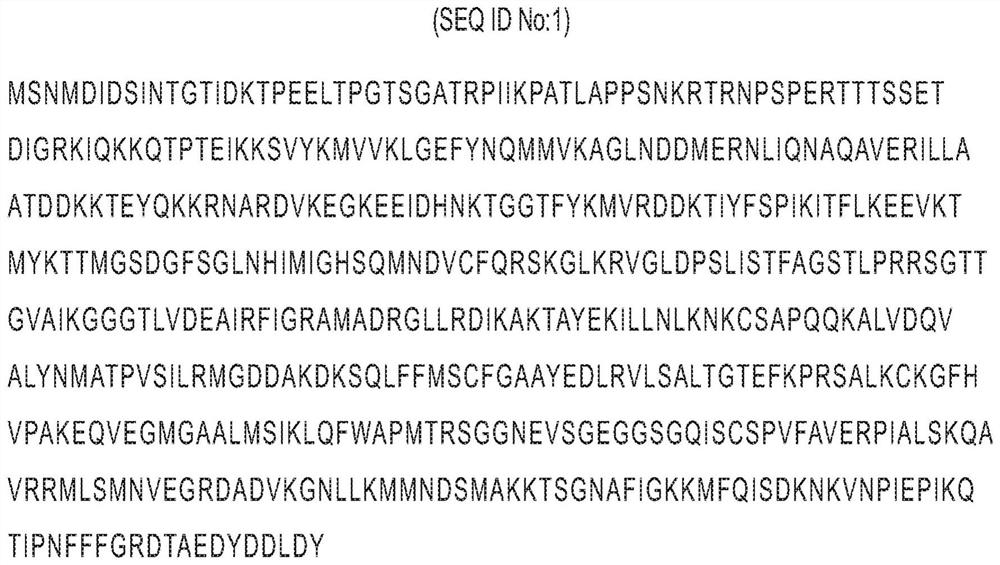 Antibody pairs for use in a rapid influenza b diagnostic test