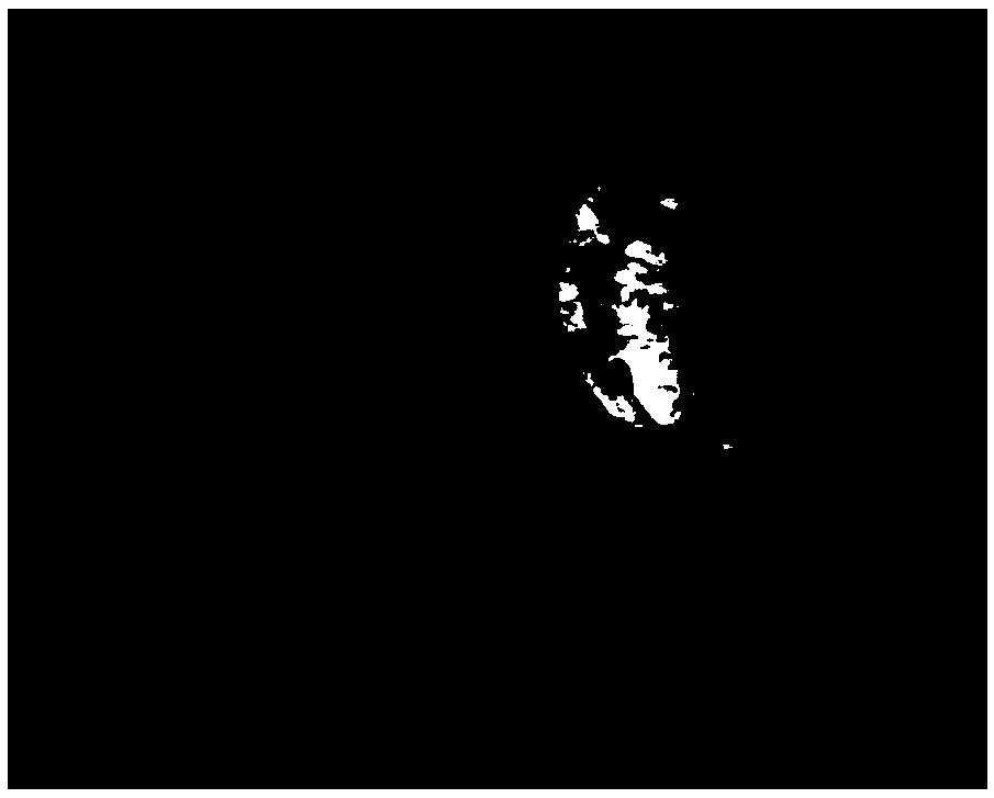 Macula lutea image detection method and equipment