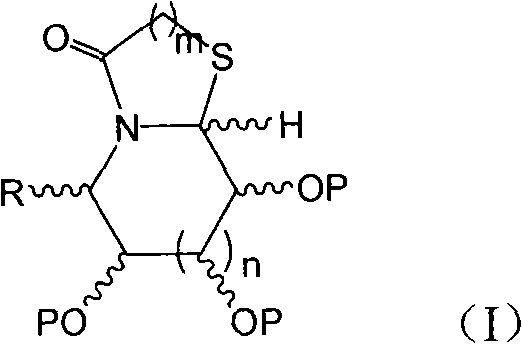 Thiazole (piperazine) azululanone azasugar derivative and synthesis method and application thereof to medicinal preparation