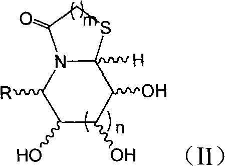 Thiazole (piperazine) azululanone azasugar derivative and synthesis method and application thereof to medicinal preparation