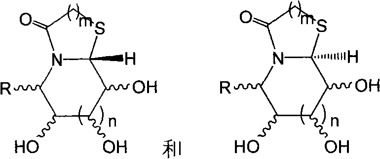 Thiazole (piperazine) azululanone azasugar derivative and synthesis method and application thereof to medicinal preparation