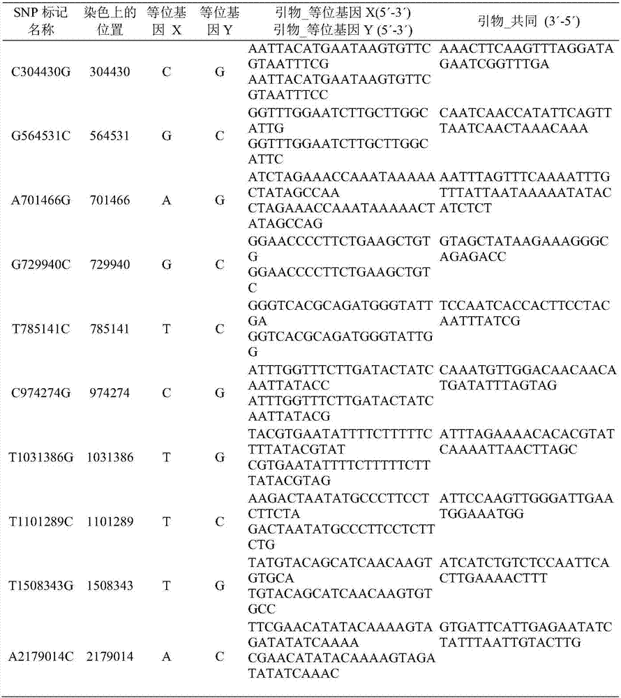 Cucumber male sterility gene, molecular marker, screening method and application thereof