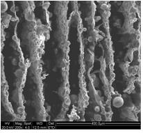 Method for preparing bionic composite material with lamellar multilevel structure