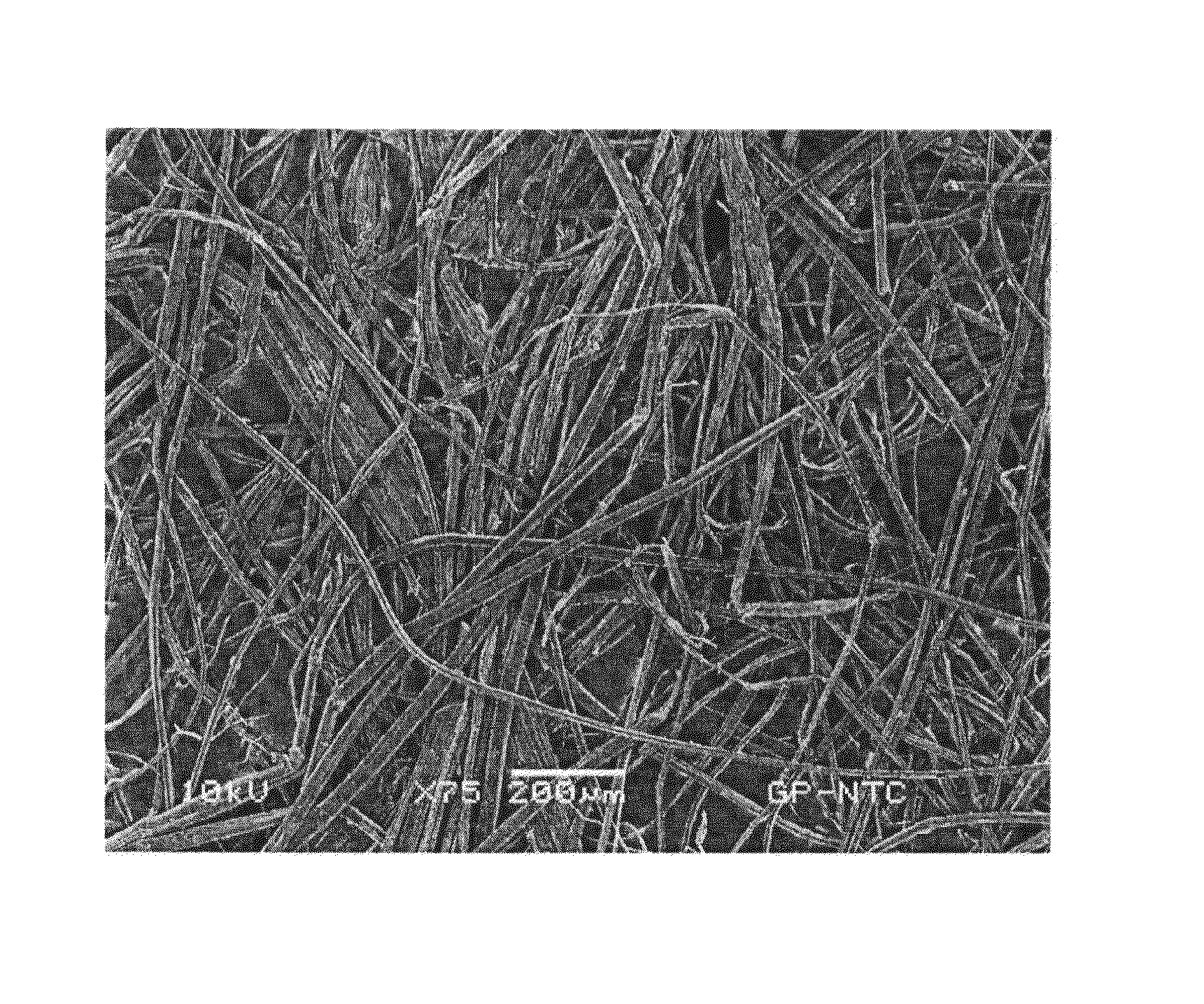 Nonwoven Fabrics Comprised of Individualized Bast Fibers