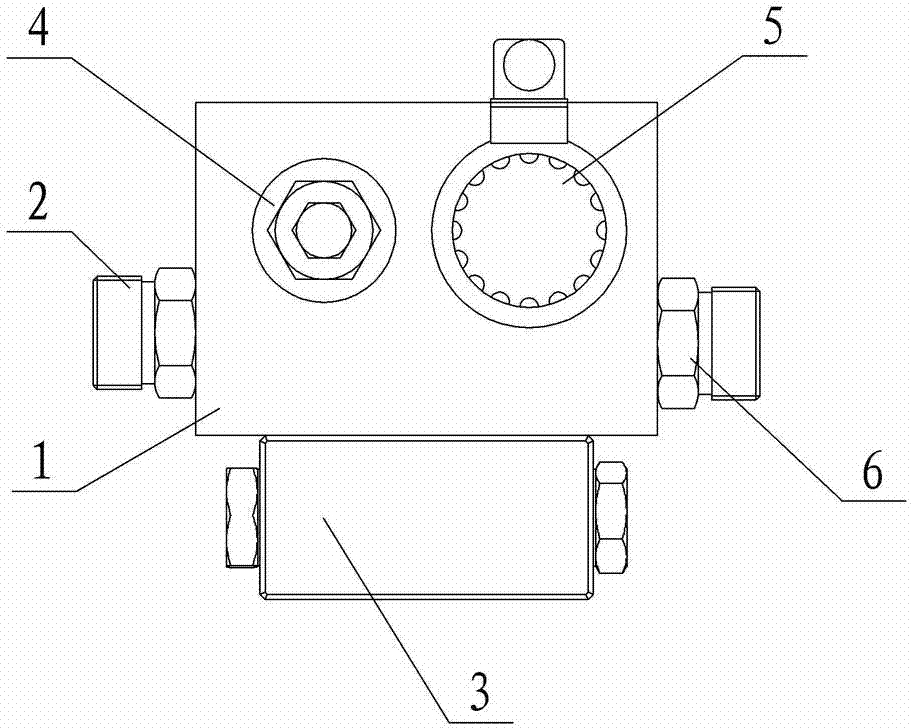 Hoisting loop integrated module of ship crane hydraulic system