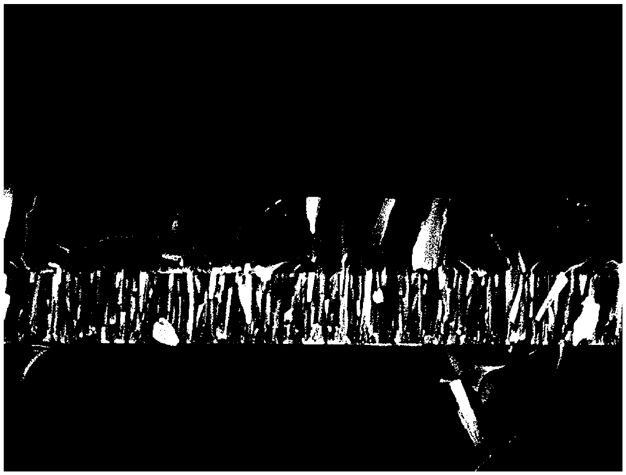 Magnetron sputtering equipment