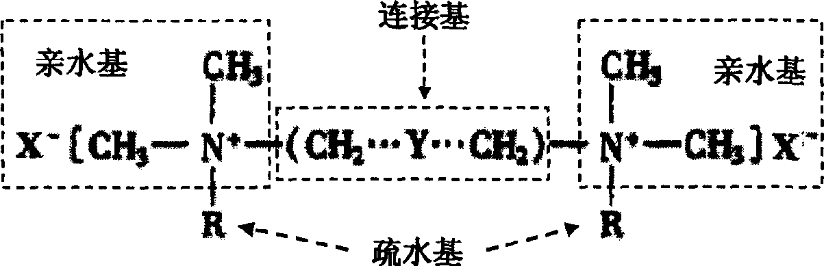 Double quaternary ammonium salt column-supporing smectite, vermiculite pesticide and its preparing mehtod