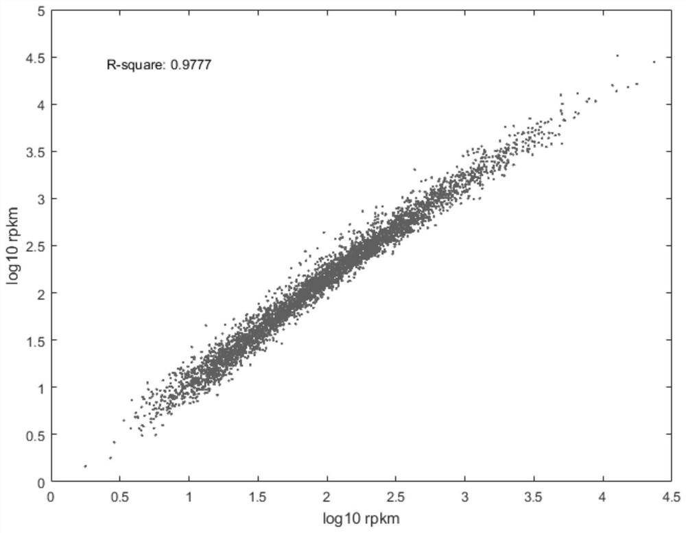 A method for constructing a ribo-seq sequencing library