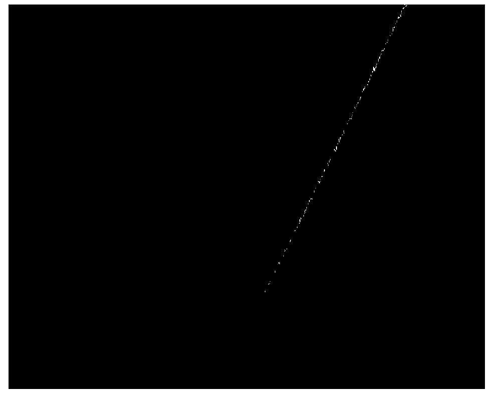 Device and method for preparing PVDF (polyvinylidene fluoride) micro-particle probe by physical adhesion method