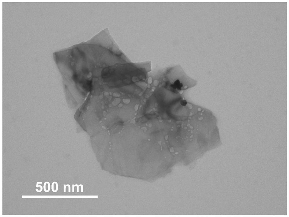 Preparation and application of black phosphorus nanosheet loaded indocyanine green nano system