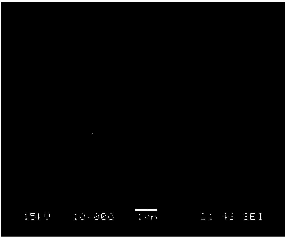 Method for preparing magnetic 5A molecular sieve from coal gangue and application of magnetic 5A molecular sieve