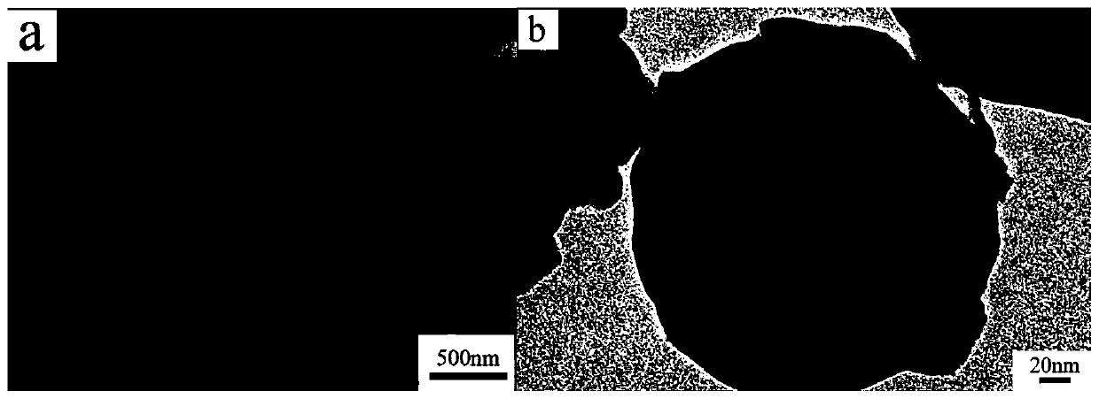 Magnesium phosphate-based bone repair material, raw material composition and preparation method and application thereof