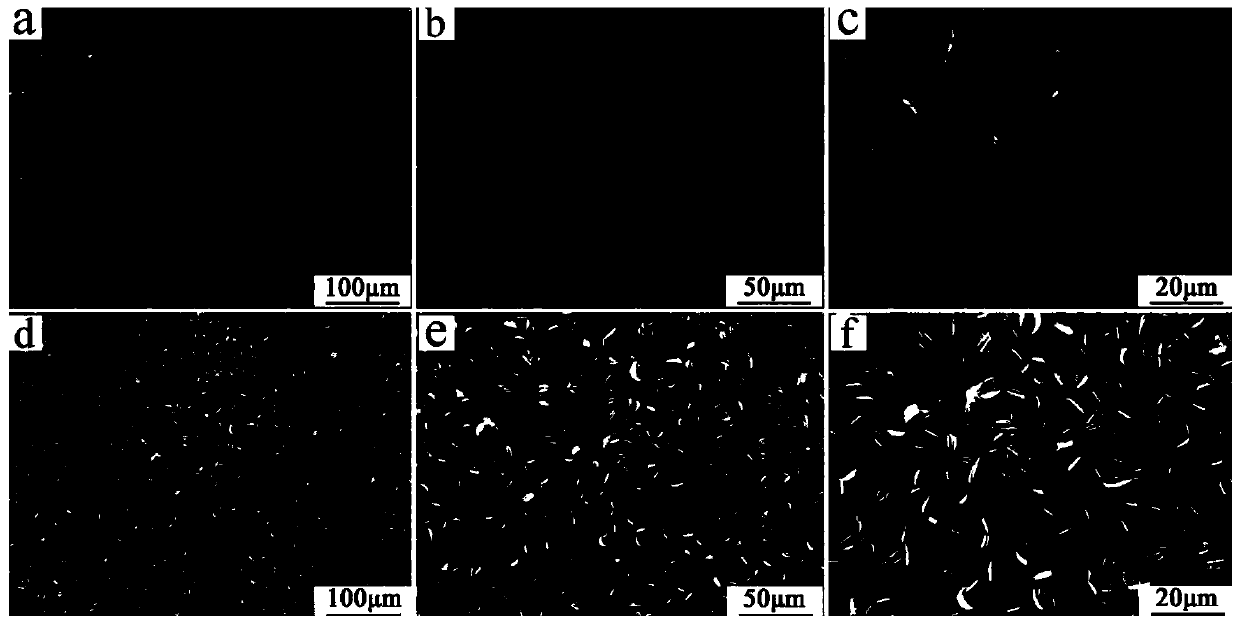 Magnesium phosphate-based bone repair material, raw material composition and preparation method and application thereof