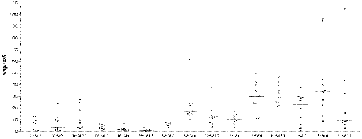 Primer for quickly and quantitatively detecting Wolbachia in tissues of mosquito and reagent box and method thereof