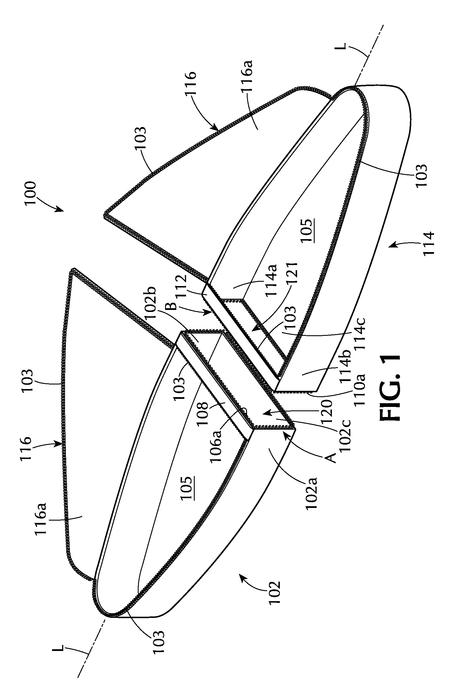 Adjustable carry bag