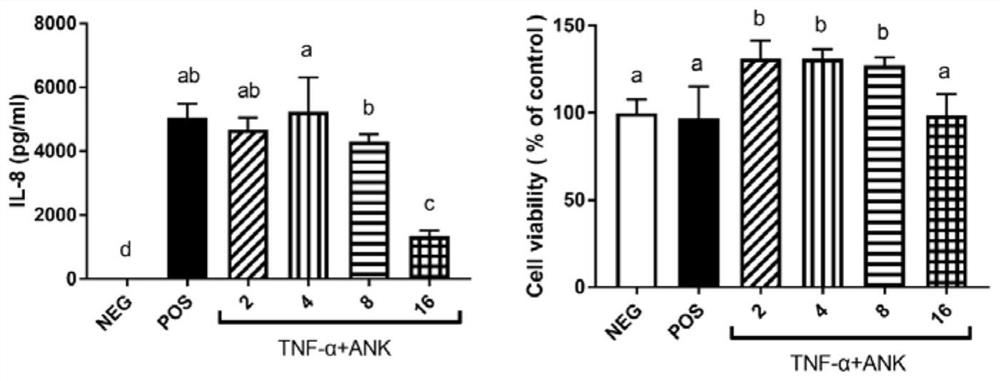 ANK tripeptide and application thereof