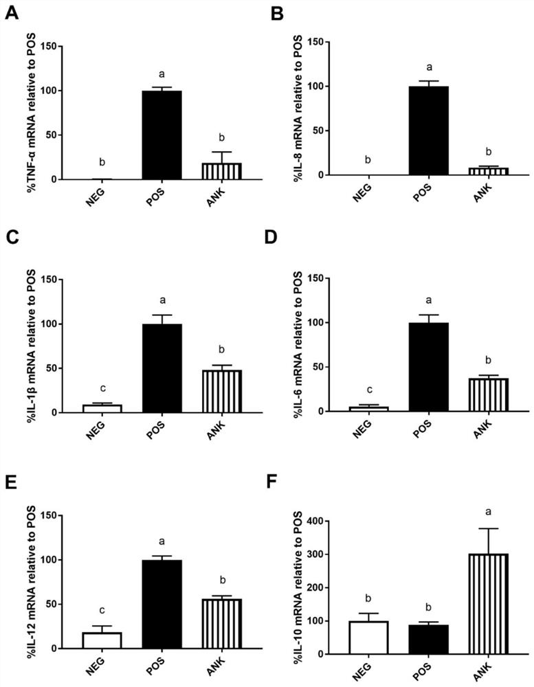 ANK tripeptide and application thereof