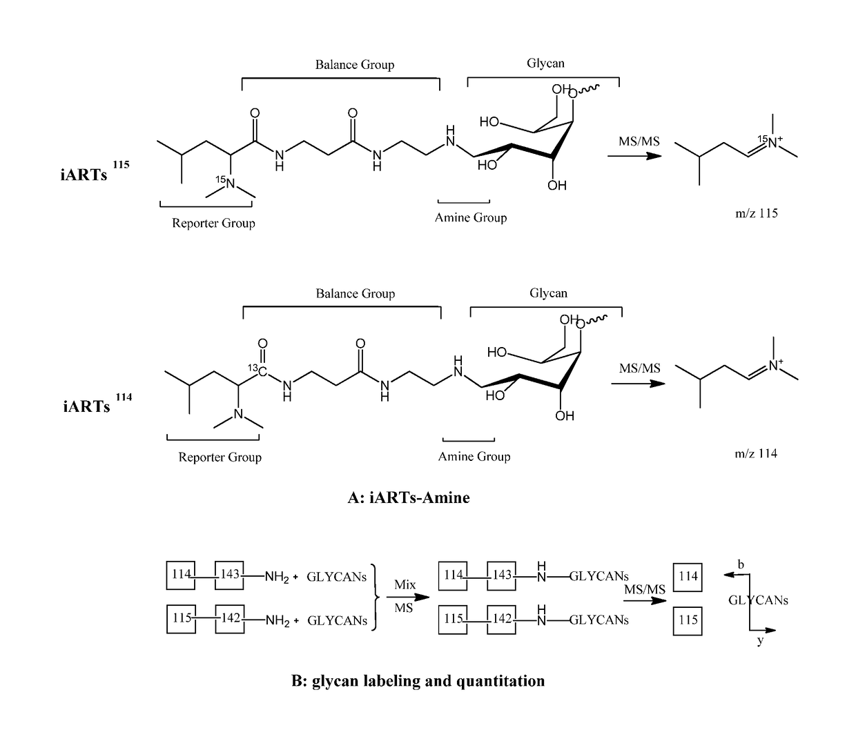 Isobaric aldehyde-reactive tags for and analysis of glycans using same