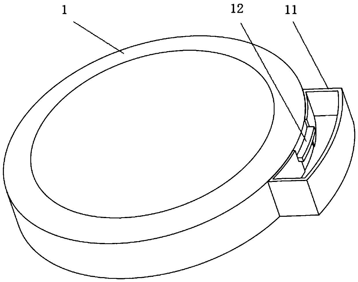 Wrist wearing device