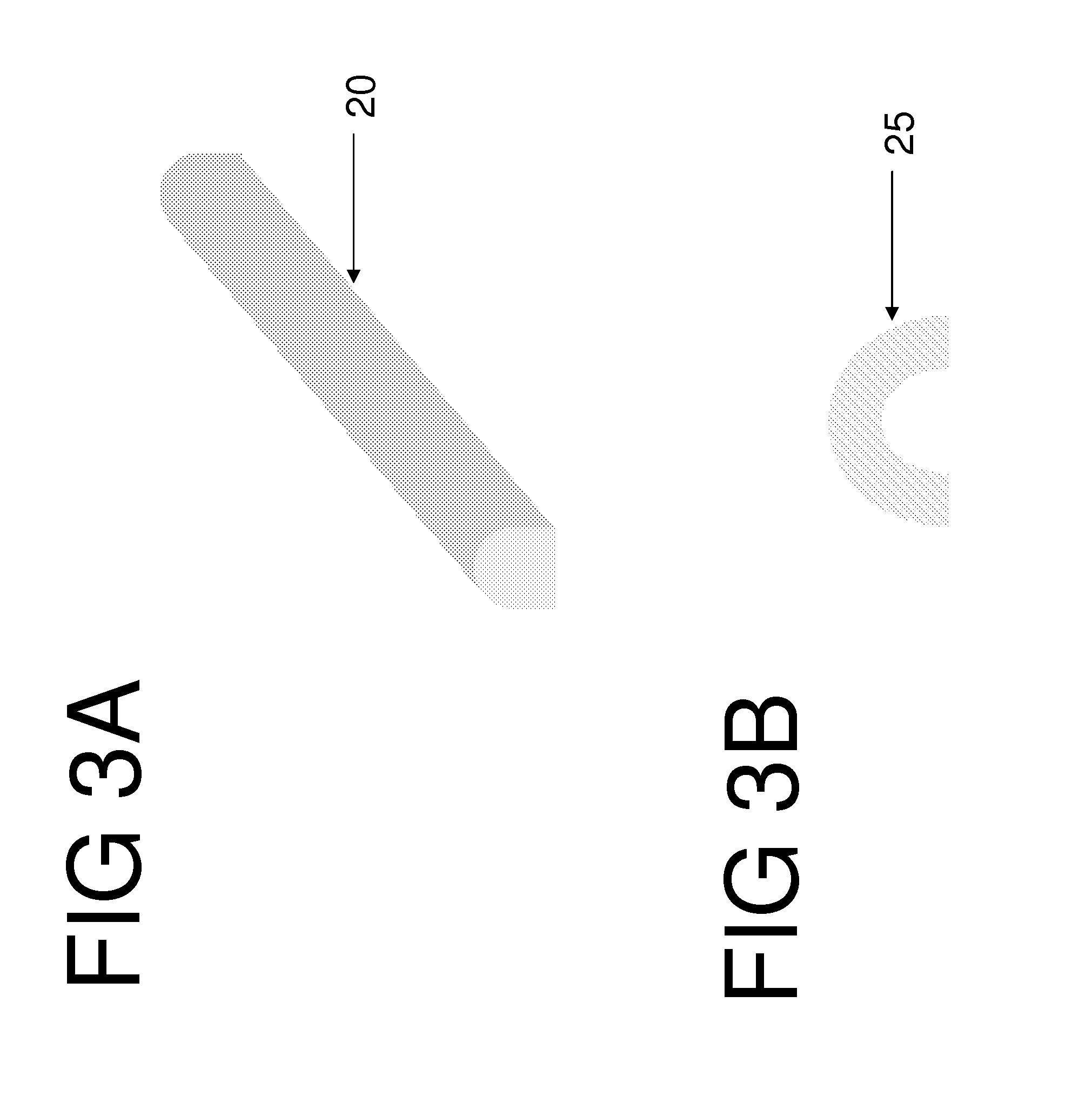 Synthetic scaffolds and organ and tissue transplantation