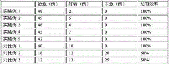 Traditional Chinese medicine preparation for improving rheumatic arthralgia and resisting fatigue and preparation method thereof