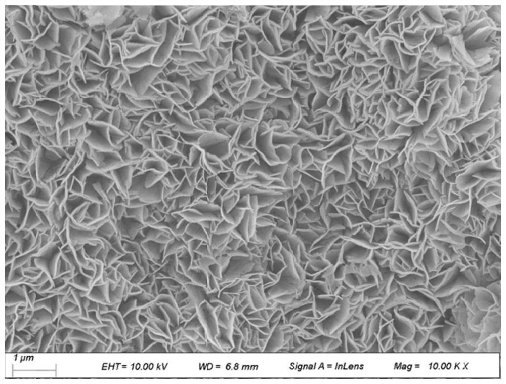 Co3O4 nanosheet-loaded stainless steel mesh as well as preparation method and application thereof