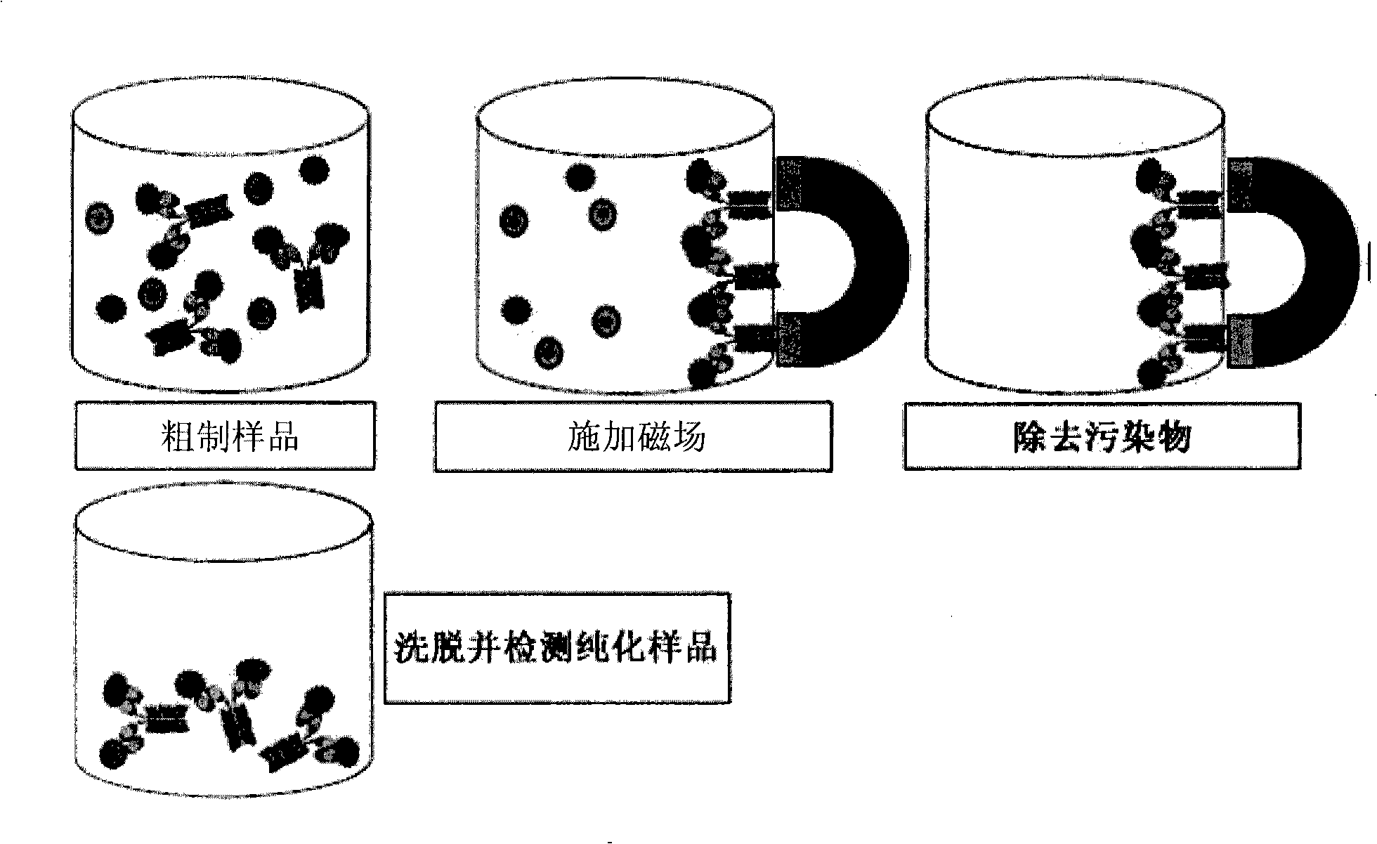 Magnetic recognition system