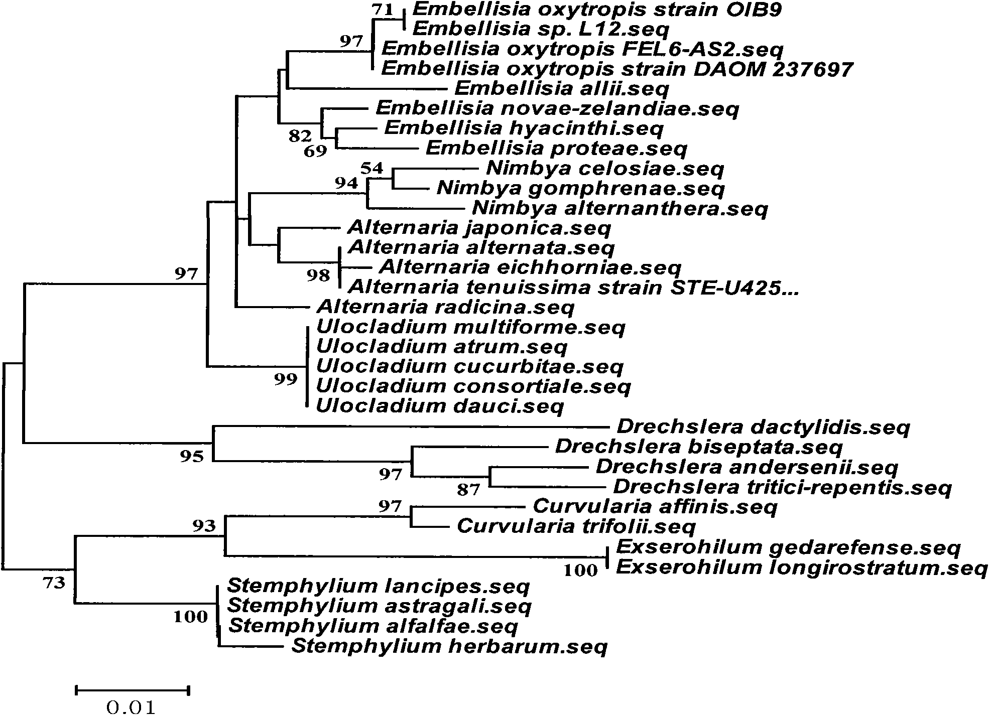 Oxytropis ehrig sporangium FEL6-AS2 for synthesizing SW and application thereof