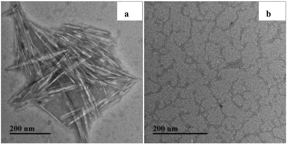 Preparation method of dialdehyde cellulose cross-linked chitosan film