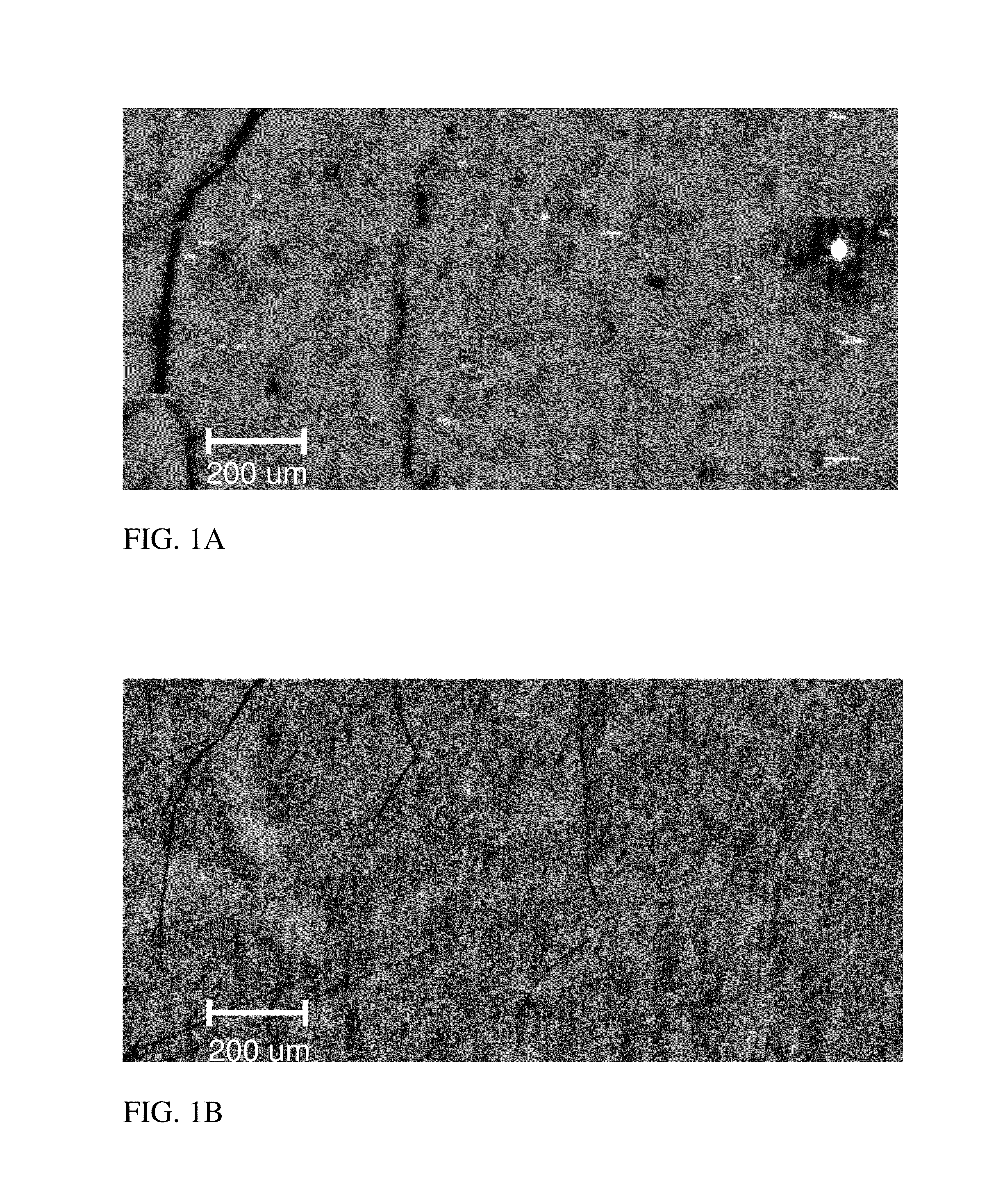 Elimination of basal plane dislocations in post growth silicon carbide epitaxial layers by high temperature annealing while preserving surface morphology