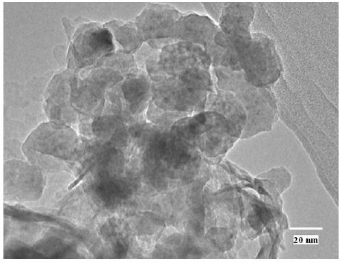 Carbon ferrite-titanium oxide multifunctional water purification material and preparation method thereof