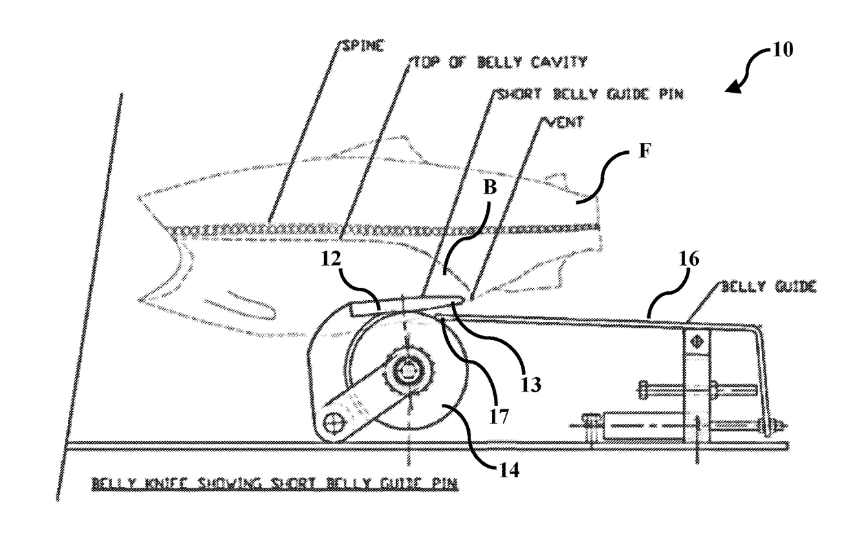 Fish processing systems and methods