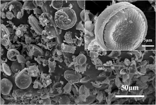 High wearing resistance normal-temperature cured bottom surface syncretic super-hydrophobic coating and preparation method thereof