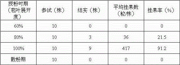 Method for amorphophallus virosus crossbreeding