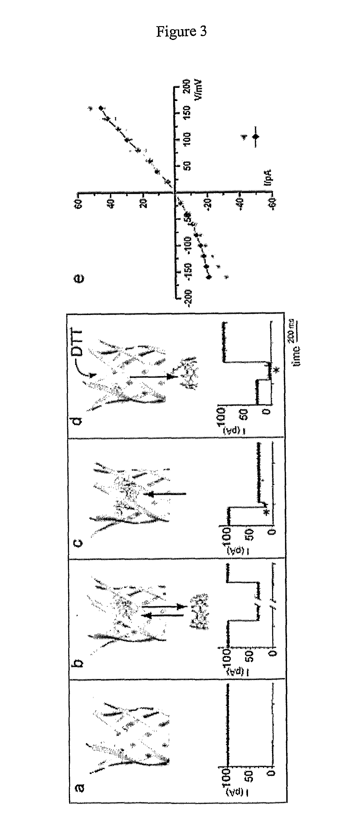 Molecular adaptors