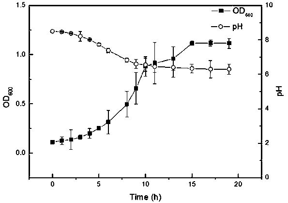 A methylophilic bacterium capable of on-line monitoring of heavy metals and its application