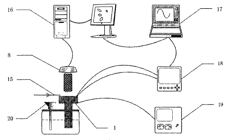 DSC meter with visualization function