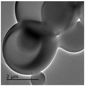 Method for preparing AuNPs@PDA/PLGA nanocapsule