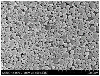 Method for preparing AuNPs@PDA/PLGA nanocapsule