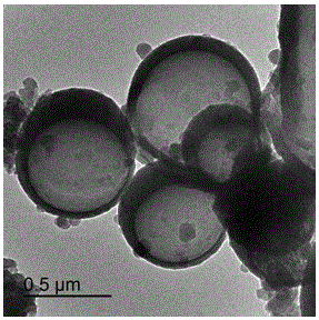 Method for preparing AuNPs@PDA/PLGA nanocapsule