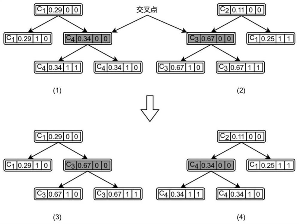 Evolutionary ensemble learning method for classification problems