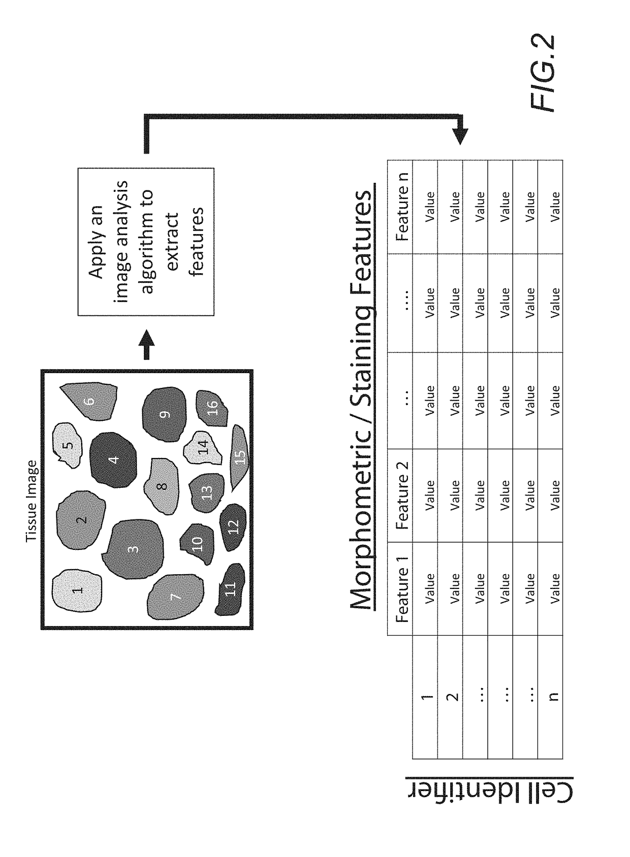 Method for stratifying and selecting candidates for receiving a specific therapeutic approach