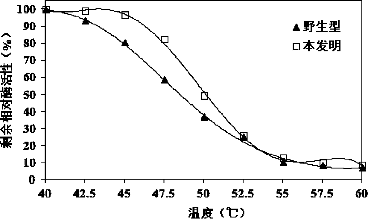 Organophosphorus pesticide degrading enzyme transformed by random mutation and encoding gene thereof