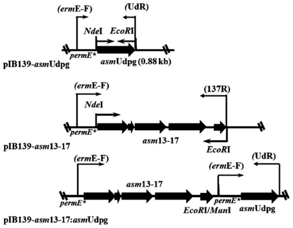 Method for Improving the Biosynthetic Yield of Ansamitocin p-3